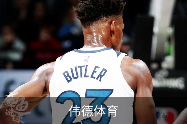 伟德体育 公司简介